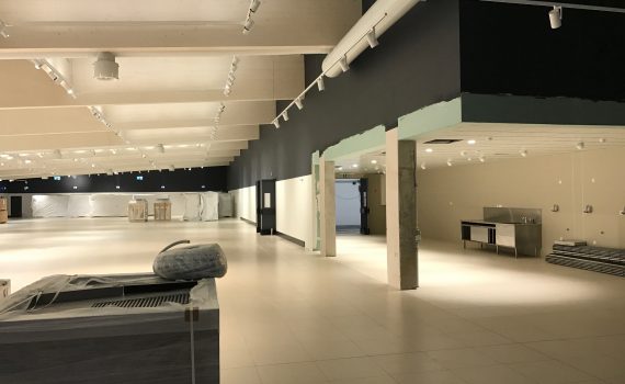 Prekybos centro Lidl apdailos darbai.